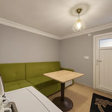 Hotel Ozer & Estambul