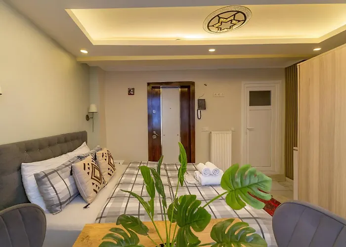 Ozer & Hotel Istambul